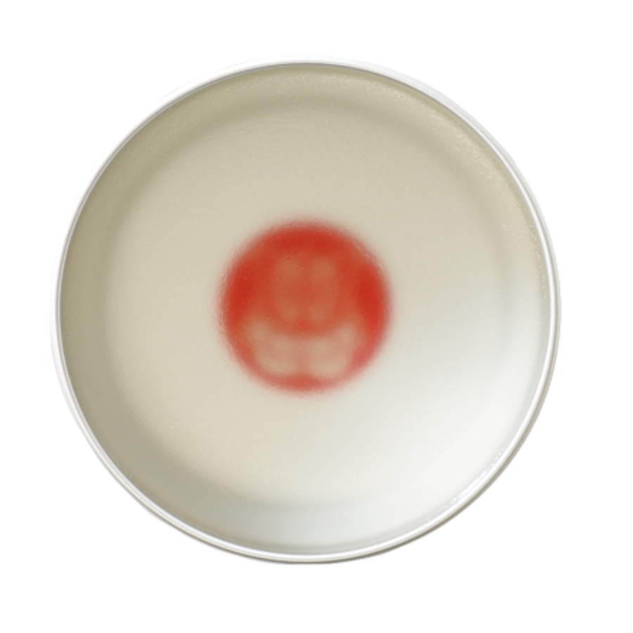 Brosh x Evisen Skateboards Pomade