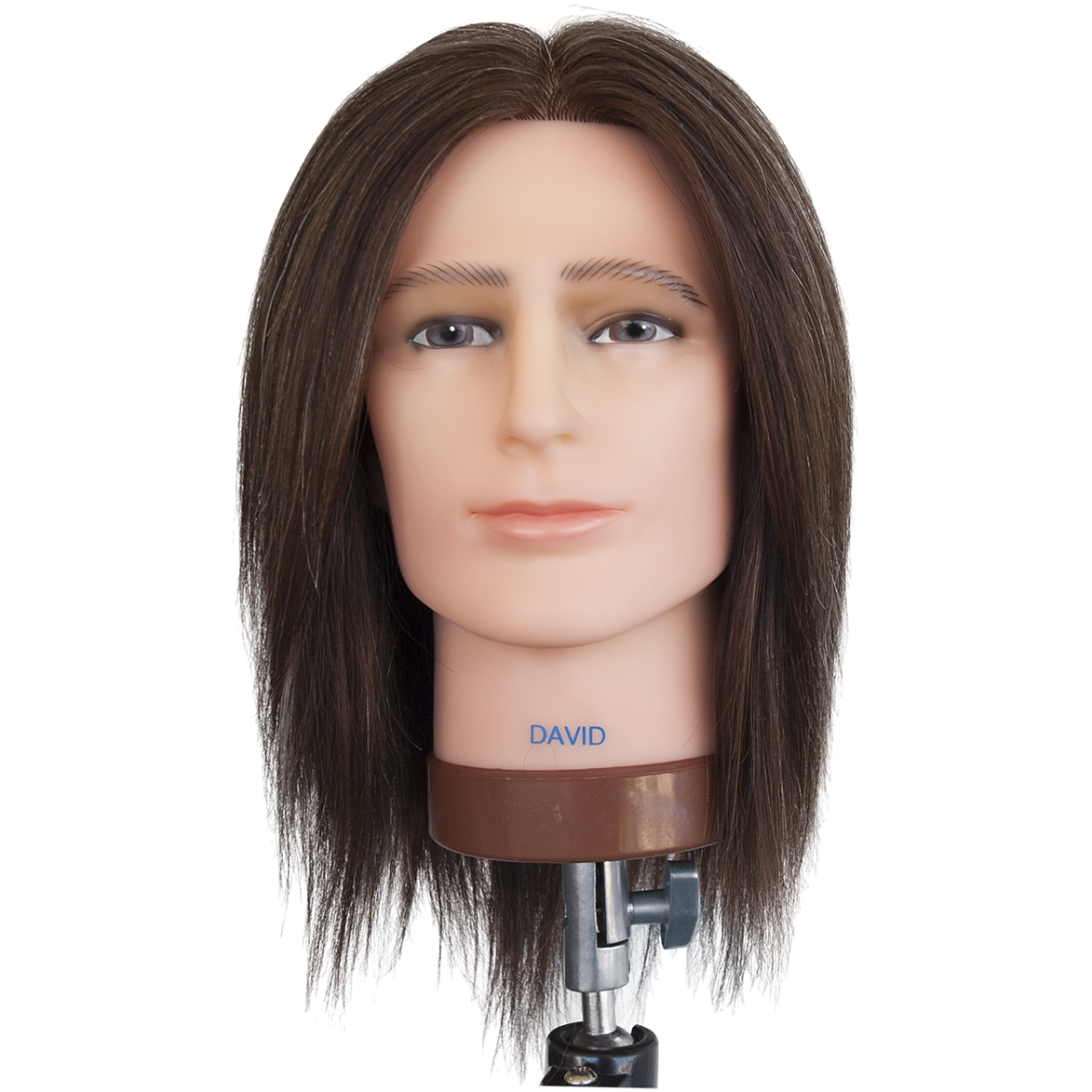 Dateline Professional Mannequin Medium Indian Hair No Beard Brown - David